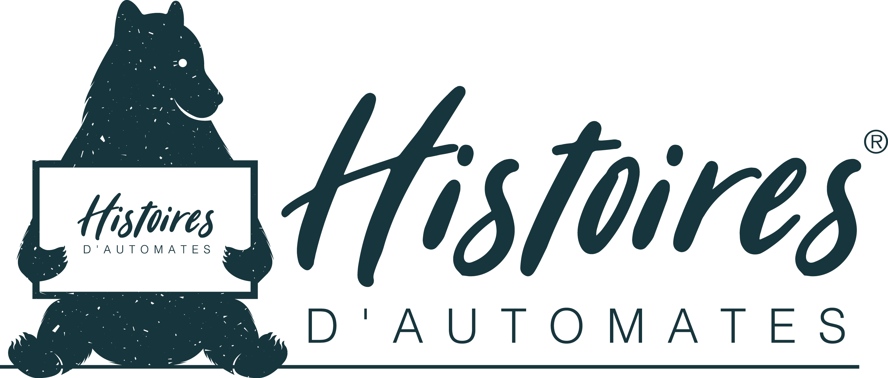 Histoires d'Automates