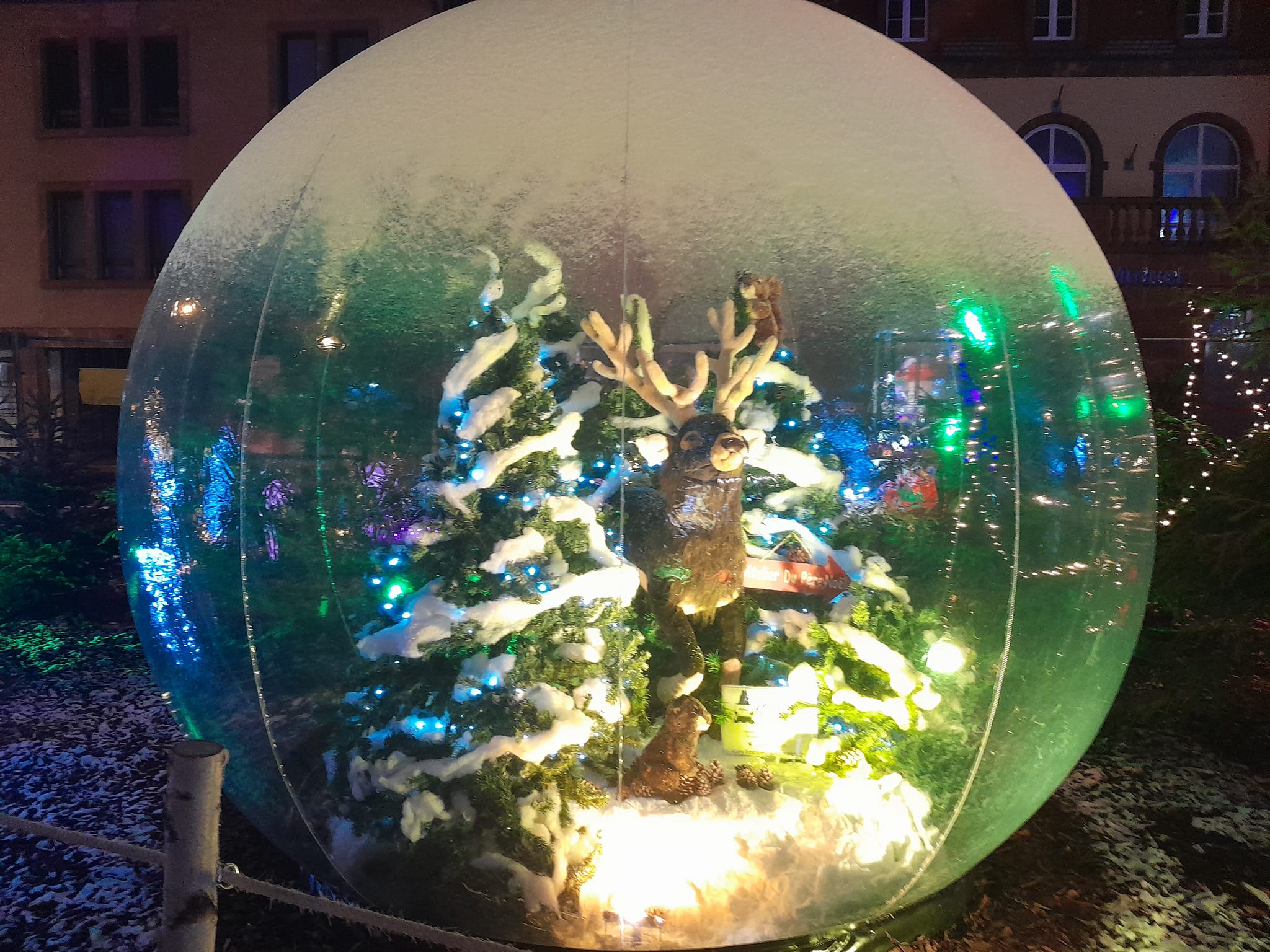 Service de décoration de marchés de noël avec location de bulles décoratives et mise en scène d'automates