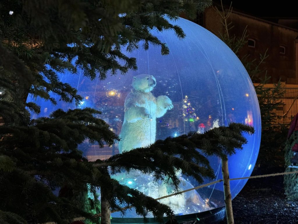 Location Bulles de Noël avec animaux polaires automates. Ours polaire automate