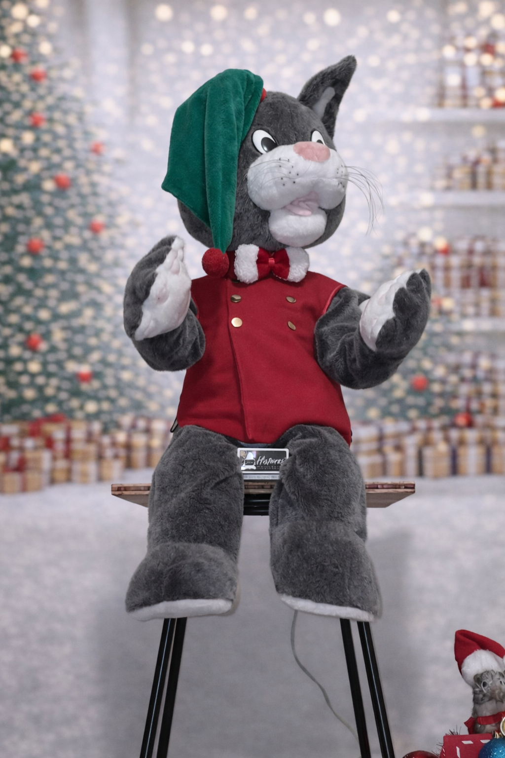 Chat Musicien Automate- Automate de Noël - Fabrication Location Automates de Noël